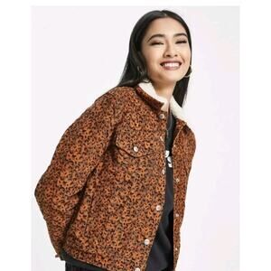 Levi’s Original Sherpa Trucker Jacket in Leopard Print Size L Fall Winter